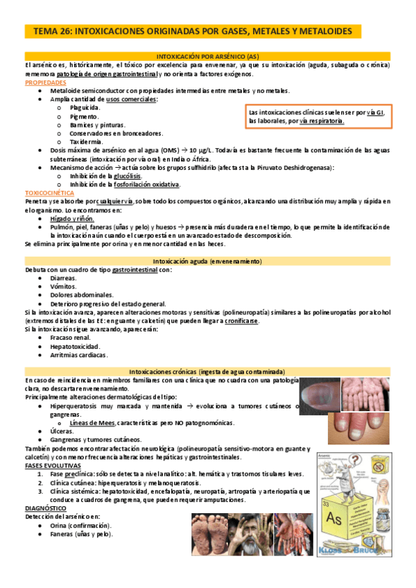 Miniatura del documento Legal.26.Intoxicaciones-por-gases.pdf