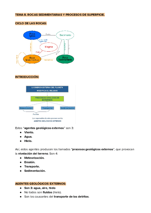 Miniatura del documento Tema-8.-Rocas-sedimentarias-y-procesos-de-superficie-Seminario-I-Geologia.pdf