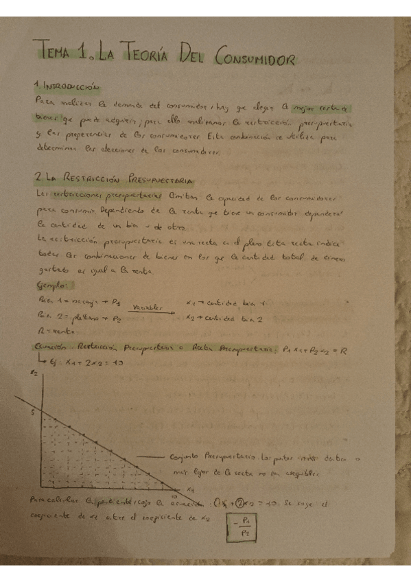 Miniatura del documento Tema-1-completo.pdf