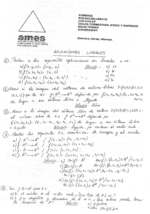 Miniatura del documento ALGEBRAgeneral-problemas-resueltos-academia.pdf