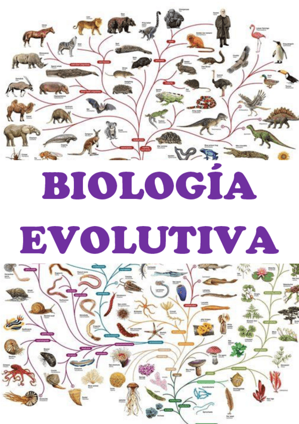 Miniatura del documento BEVO-COMPLETO.pdf