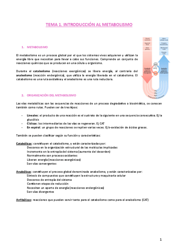 Miniatura del documento TEMA-1, 2, 3.pdf