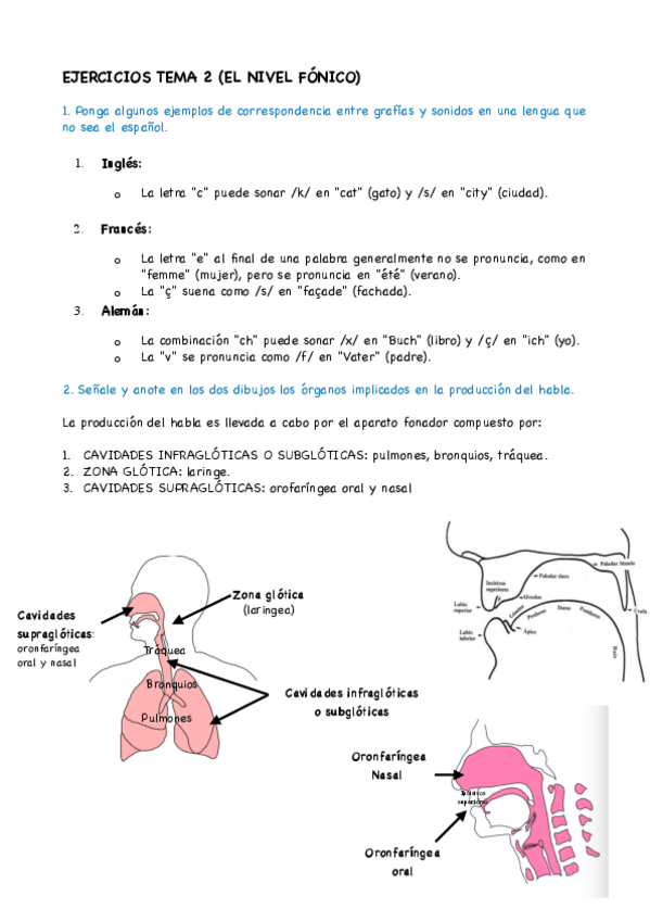 Miniatura del documento ejercicios-de-practicas-Semana-1.pdf