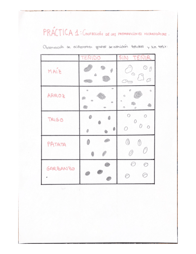 Miniatura del documento INFORME-PRACTICAS-BIOLOGIA-VEGETAL.pdf