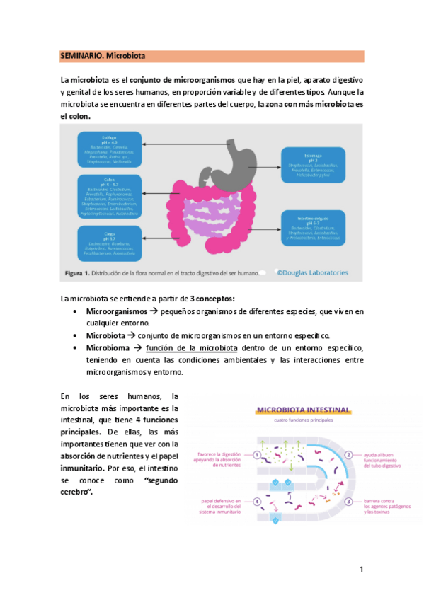 Miniatura del documento SEMINARIO.-Microbiota.pdf