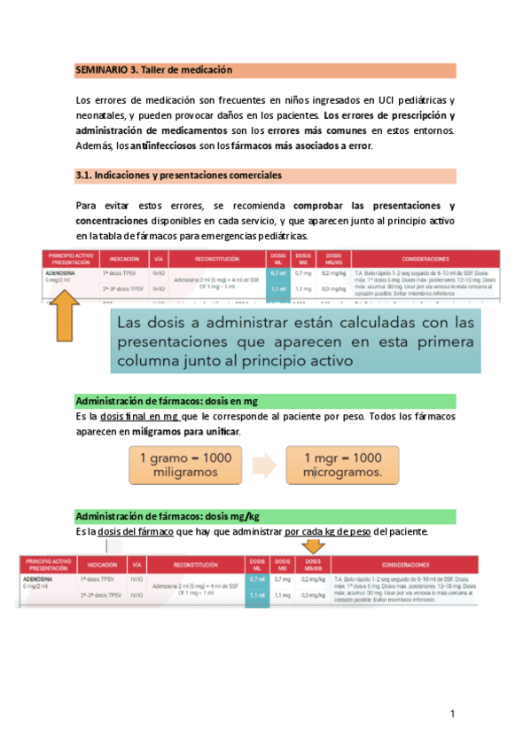 Miniatura del documento SEMINARIO-3.-TallerMedicacion.pdf