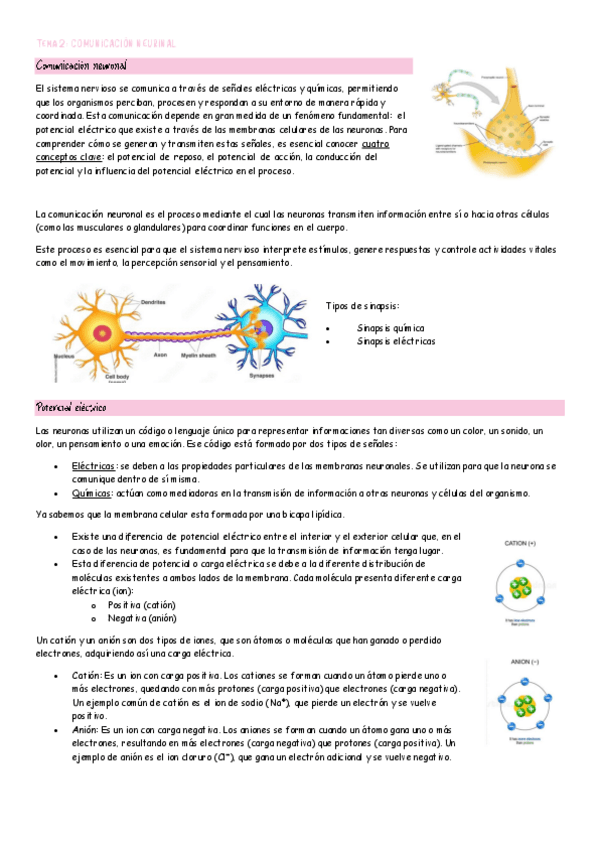 Miniatura del documento Comunicacion neuronal.pdf