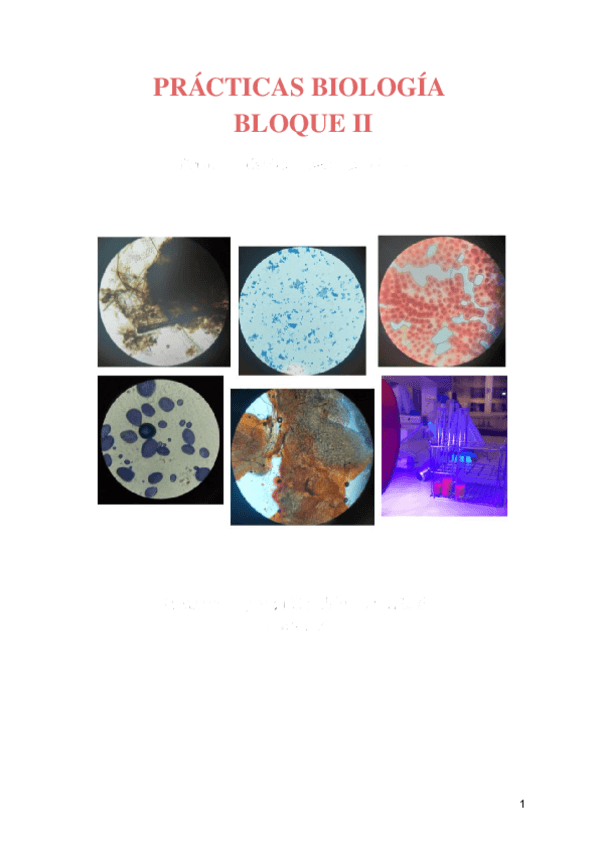 Miniatura del documento Practicas-Biologia-Bloque-II.pdf