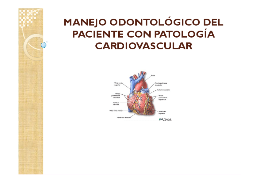 Miniatura del documento 2-y-3-Cardiovascular-y-Coagulacion.pdf