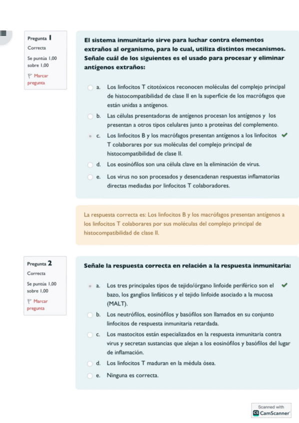 Miniatura del documento Test-prueba-parcial-2024.pdf
