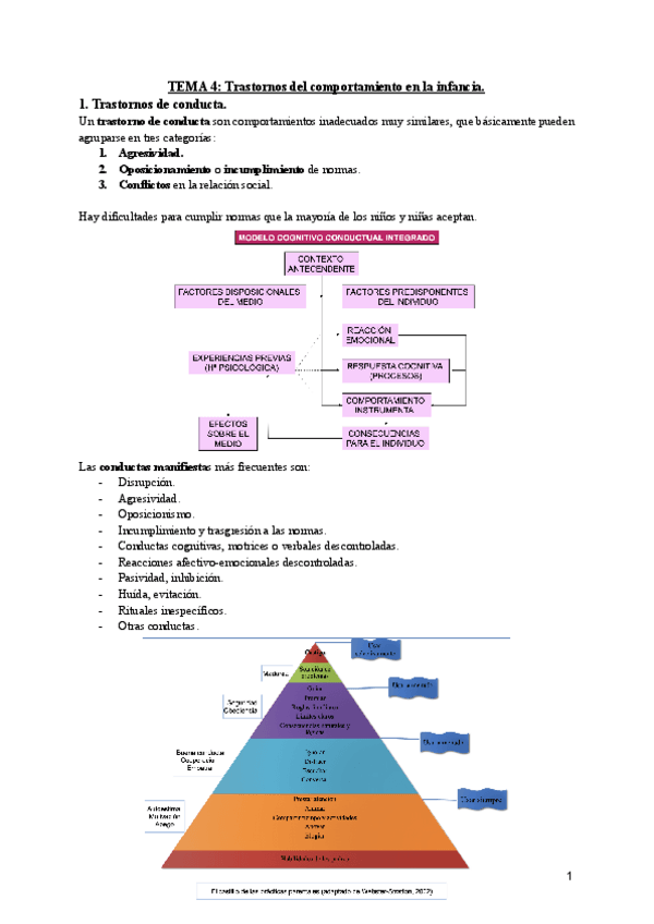 Miniatura del documento TEMA-4-Trastornos-del-comportamiento-en-la-infancia.pdf