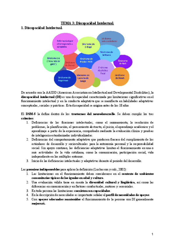 Miniatura del documento TEMA-3-Discapacidad-Intelectual.pdf