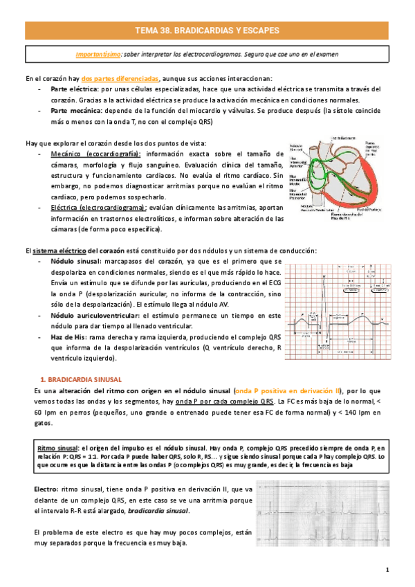 Miniatura del documento Corazon.pdf