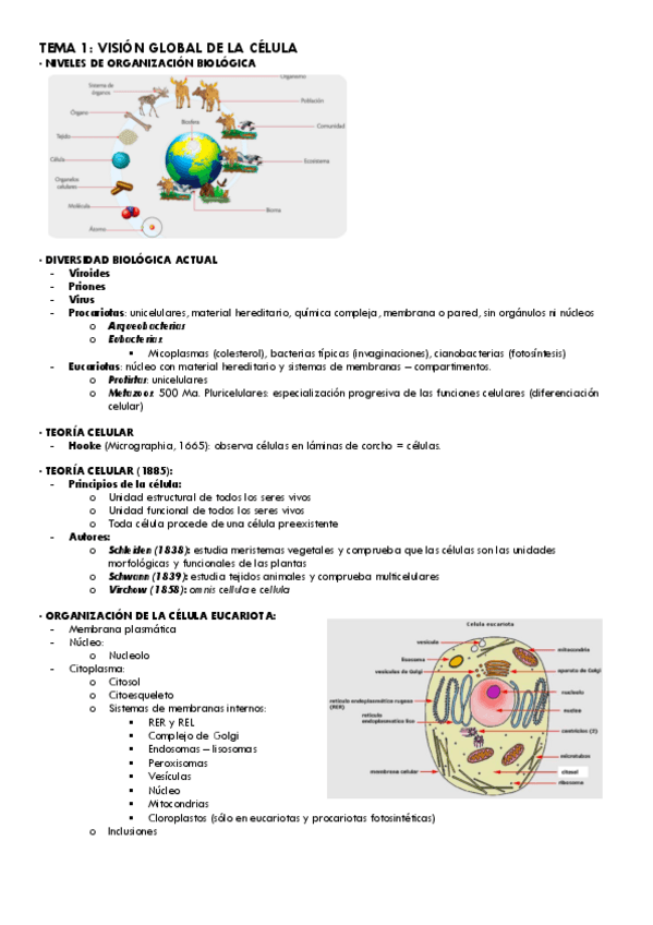 Miniatura del documento Tema-1-Bio.Cel..pdf