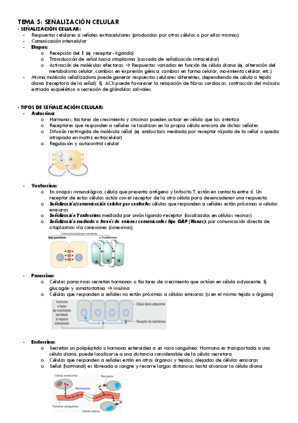 Miniatura del documento Tema-5-Bio.Cel..pdf
