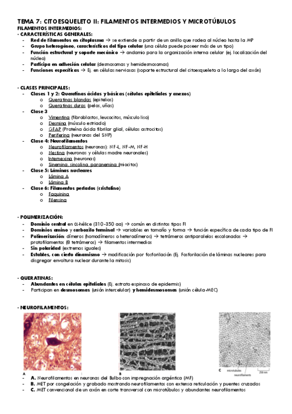 Miniatura del documento Tema-7-Bio.Cel..pdf