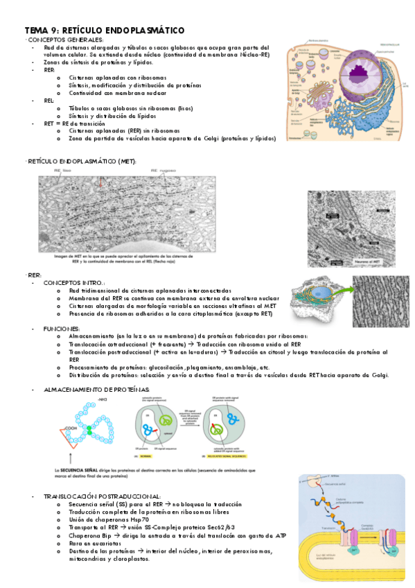 Miniatura del documento Tema-9-Bio.Cel..pdf