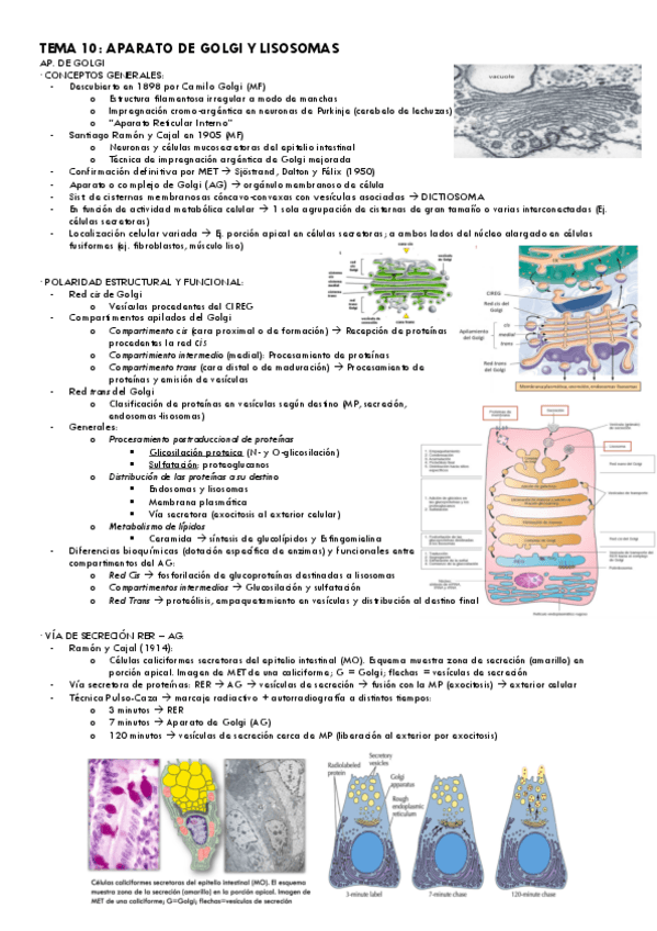 Miniatura del documento Tema-10-Bio.Cel..pdf