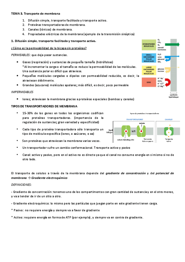 Miniatura del documento TEMA-3-TRASPORTE-DE-MEMBRANA.pdf