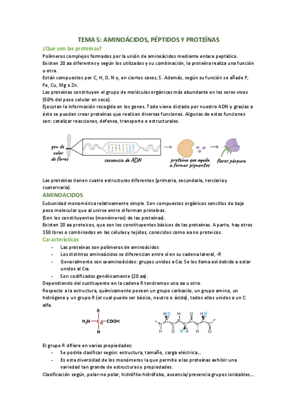 Miniatura del documento tema-5-aminoacidos-y-porteinas.pdf