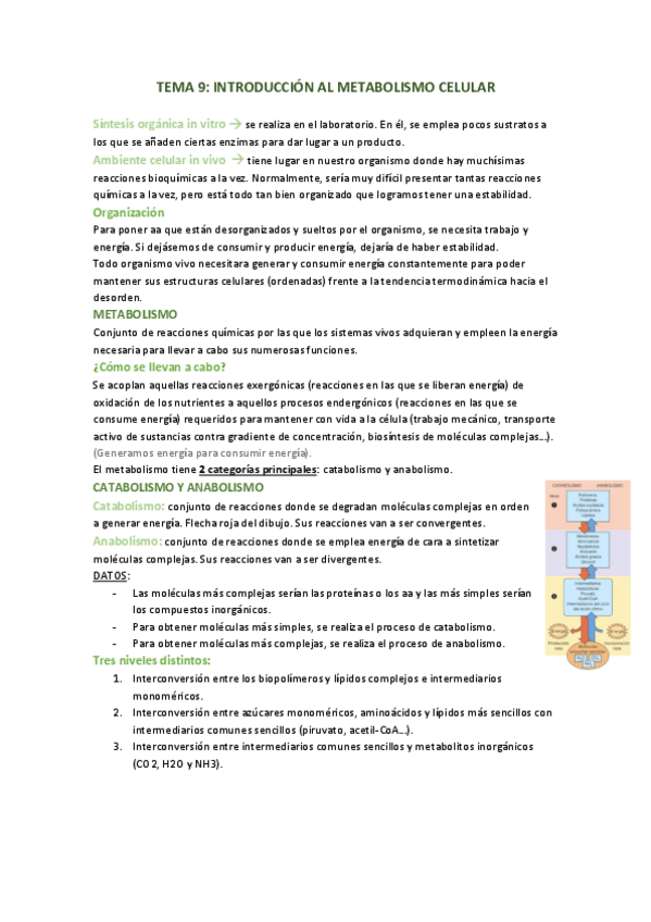Miniatura del documento TEMA-9-introduccion-al-metabolismo-celular.pdf