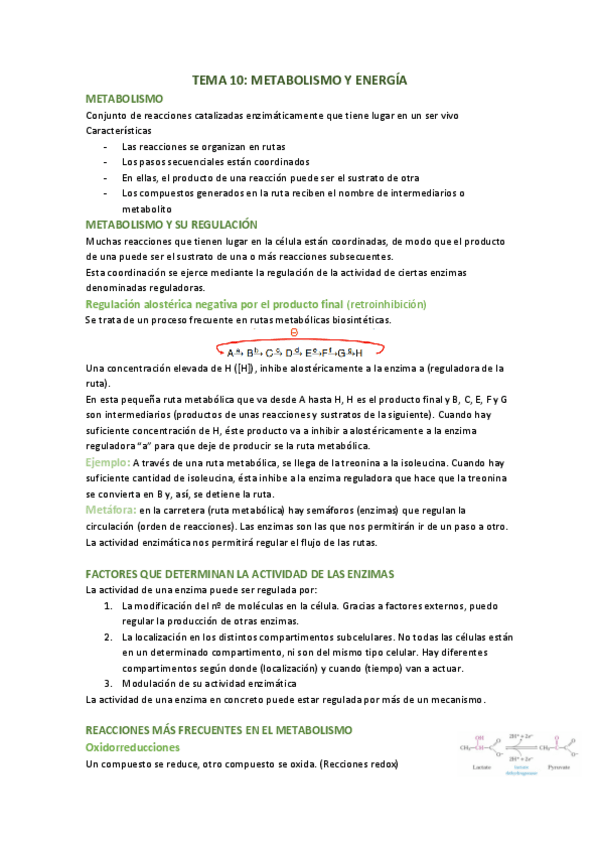 Miniatura del documento TEMA-10-metabolismo-y-energia.pdf