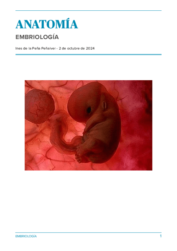 Miniatura del documento EMBRIOLOGIA-1o-parcial.pdf