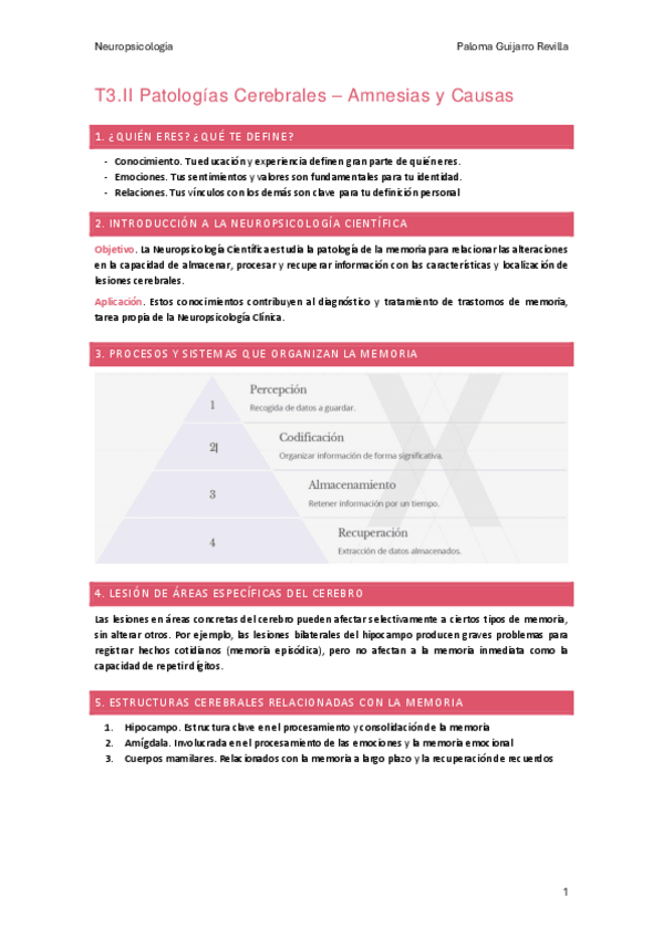 Miniatura del documento T3.II-Patologias-Cerebrales-Amnesias-y-Causas.pdf