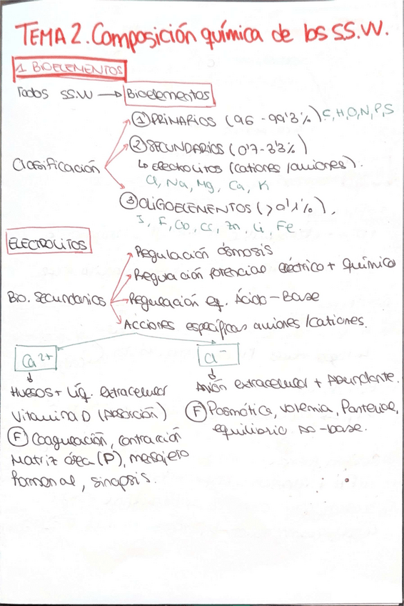 Miniatura del documento Todo-Bioquimica.pdf