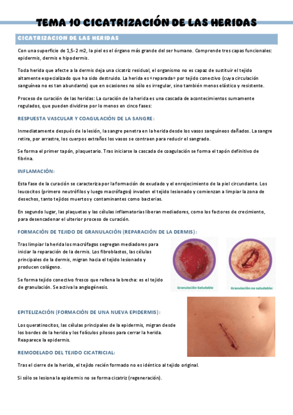Miniatura del documento PATOLOGIA-QUIRURGICA-GENERAL-T10.pdf