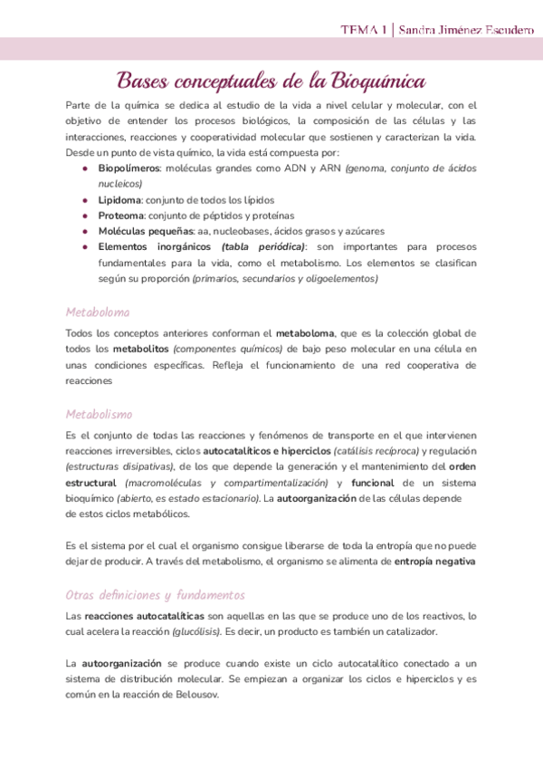 Miniatura del documento Tema-1-Bases-conceptuales.pdf