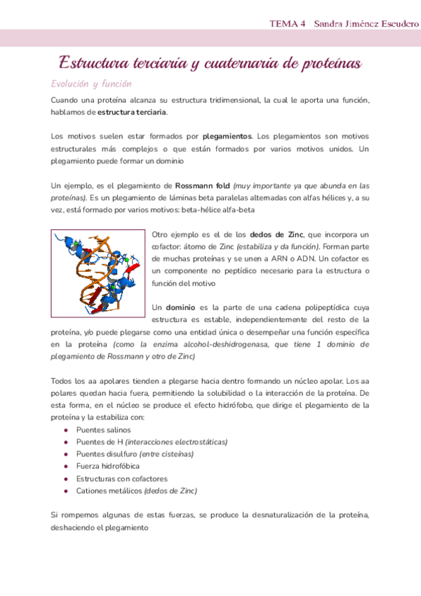 Miniatura del documento Tema-4-Estructura-terciaria-y-cuaternaria-de-proteinas.pdf