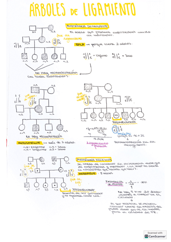 Miniatura del documento Arboles-de-ligamiento.pdf