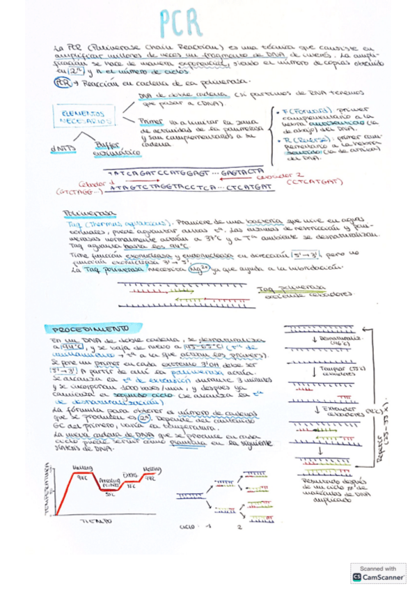 Miniatura del documento PCR.pdf
