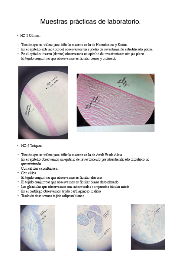 Miniatura del documento Muestras-practicas-de-biologia.pdf