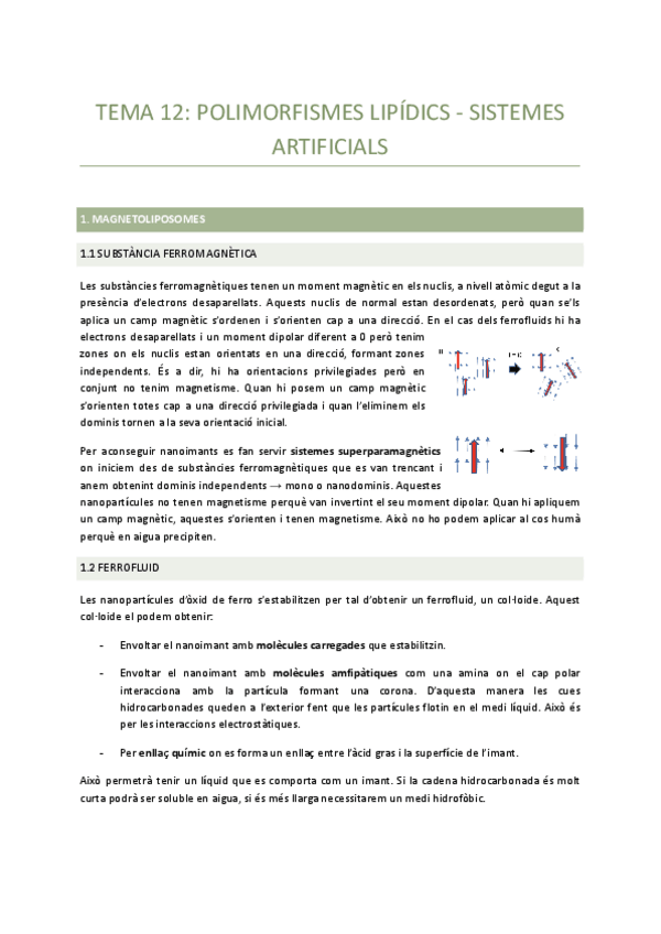 Miniatura del documento Tema-12-Polimorfismes-lipidics-sistemes-artificials.pdf