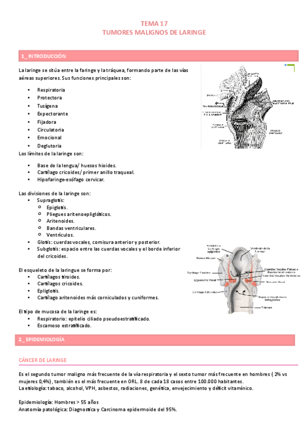 Miniatura del documento Tema-17.pdf