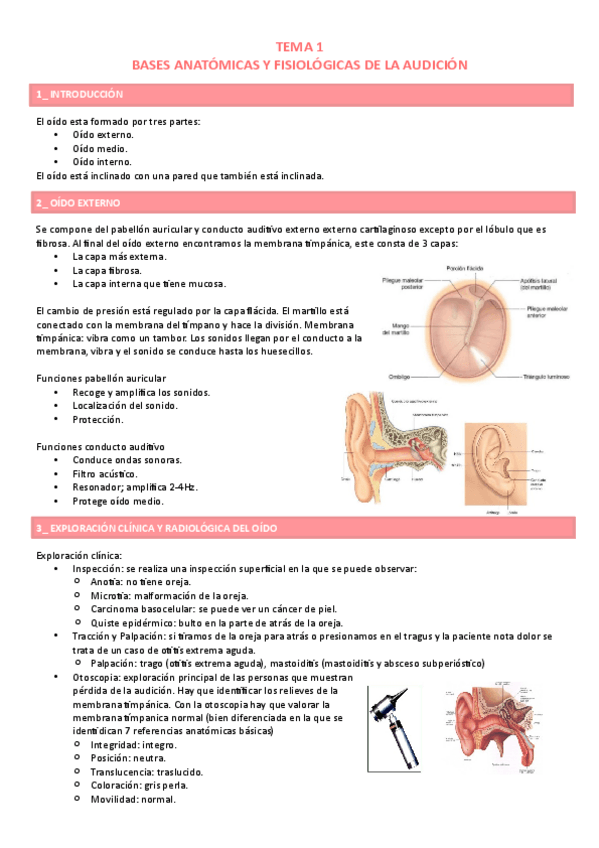 Miniatura del documento Tema-1.pdf