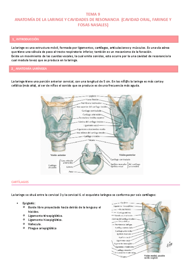 Miniatura del documento Tema-9.pdf