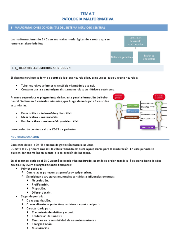 Miniatura del documento Tema-7.pdf