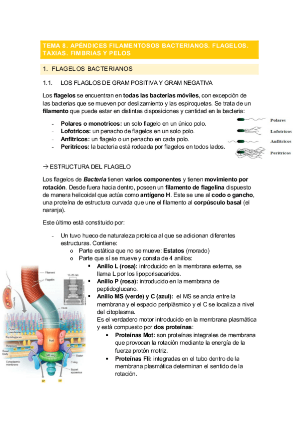 Miniatura del documento Tema-8.pdf