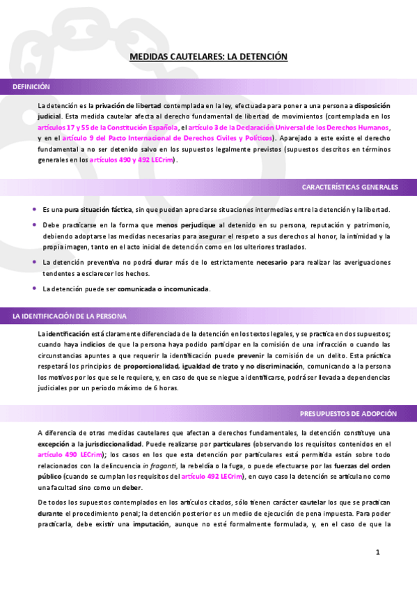 Miniatura del documento Medidas-cautelares-la-detencion.pdf