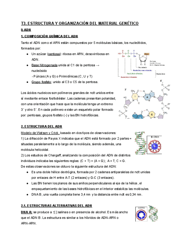Miniatura del documento t3-completo.pdf