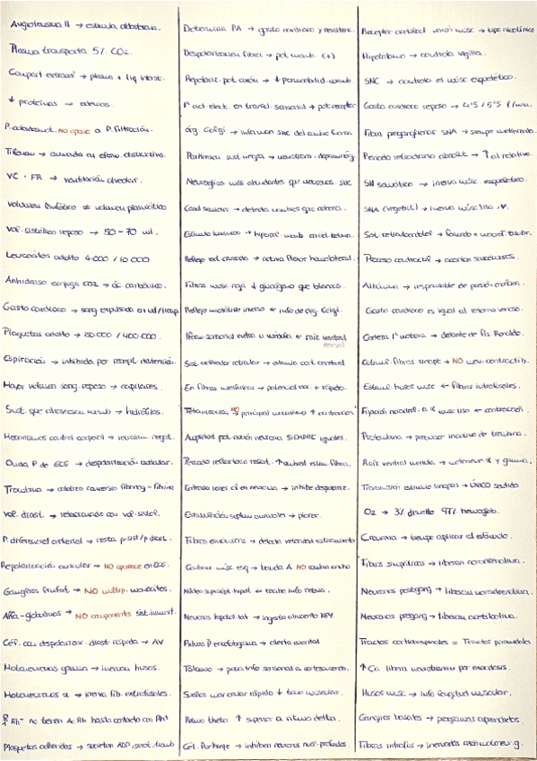 Miniatura del documento TEST-FISIO-REPETIDOS.pdf