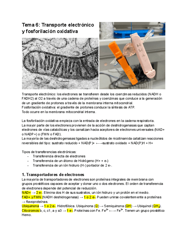 Miniatura del documento T6-Transporte-electronico-y-fosforilacion-oxidativa.pdf