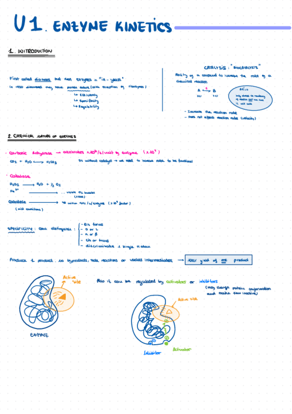 Miniatura del documento Tema-1-enzimologia.pdf
