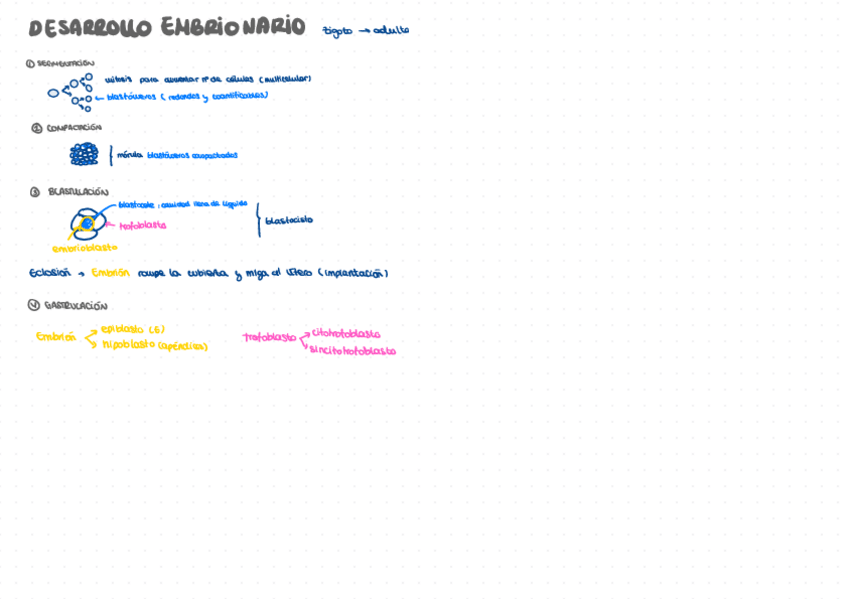 Miniatura del documento Desarrollo-embrionario-esquema.pdf