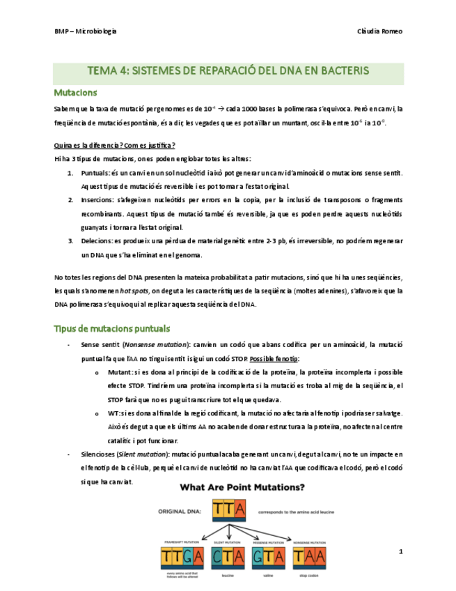 Miniatura del documento 2n-parcial-BMP-susana.pdf