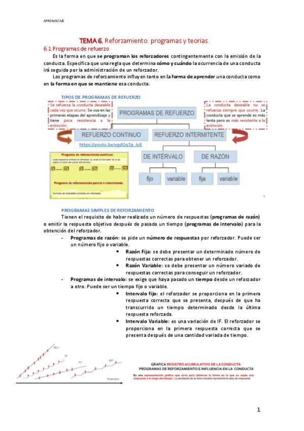 Miniatura del documento Reforzamiento-programas-y-teorias..pdf
