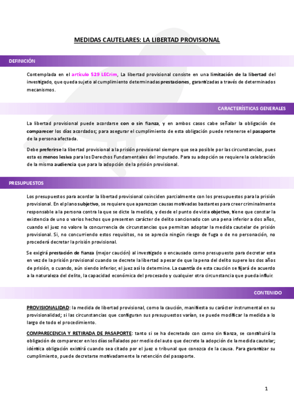 Miniatura del documento Medidas-cautelares-la-libertad-provisional.pdf